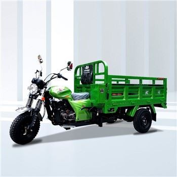 Motoriserad lasttrike 3 trehjulig motorcykel