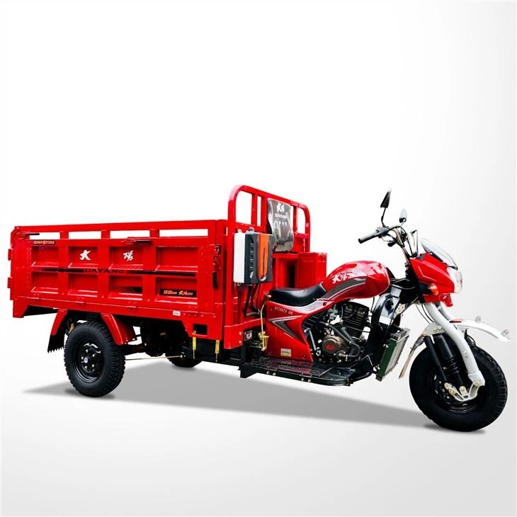 175cc 3 hjul Cargo Trimoto