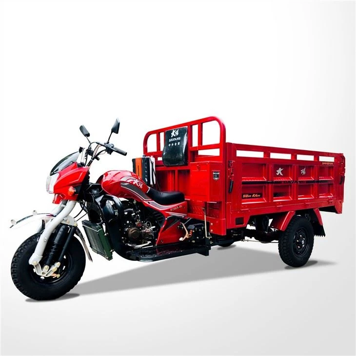 175cc 3 Wheels Cargo Trimoto