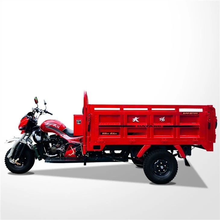 175cc 3 Wheels Cargo Trimoto