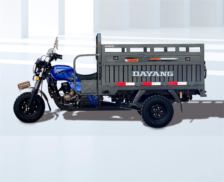DAYANG Hot-selling Cheap Stable Three Wheels Farm Cargo Truck Tricycle (4)